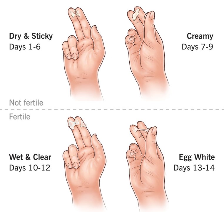 How to keep track of your mucus