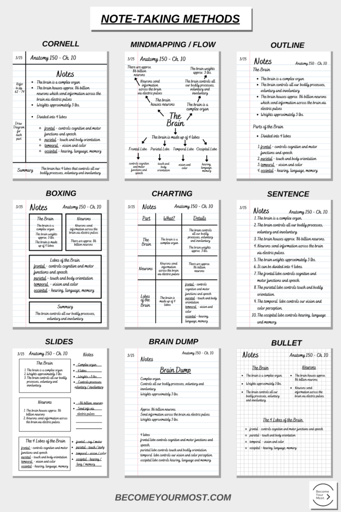 different ways to study during exam season