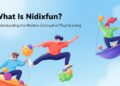 What Is Nidixfun? Understanding the Modern Concept of Playful Living