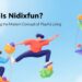 What Is Nidixfun? Understanding the Modern Concept of Playful Living