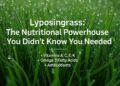 Lyposingrass: The Nutritional Powerhouse You Didn’t Know You Needed