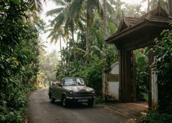 Discovering Hotel Keralafonia: A Hidden Gem in Kerala