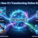Pasonet: How It’s Transforming Online Experiences